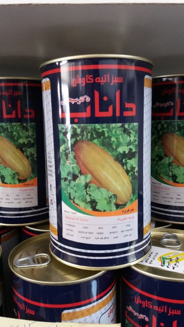 بذر خربزه داناب خاتونی