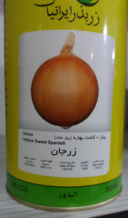 بذرپیاززرجان کشت بهاره