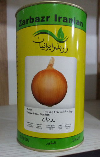 بذر پیاز زرد زرجان کشت بهاره