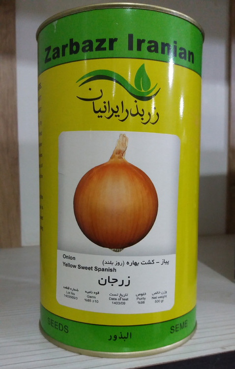 بذر پیاز زرد زرجان کشت بهاره