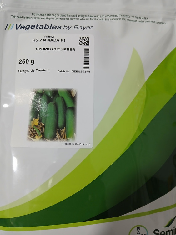 بذرخیارnada 2n