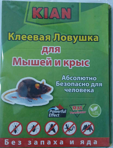 چسب موش کتابی صادراتی کیان