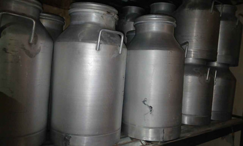 بیدون یاظرف شیر ۵۰ لیتری بادرب