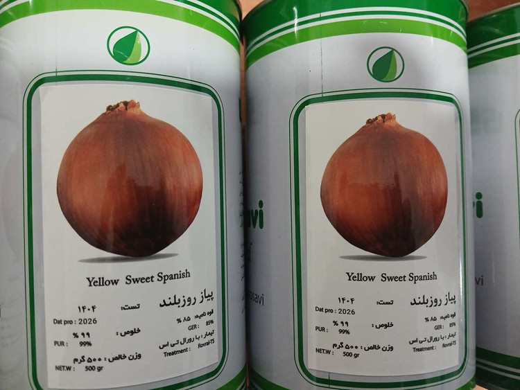 خریدآنلاین بذر پیاز زردروزبلند درتهران