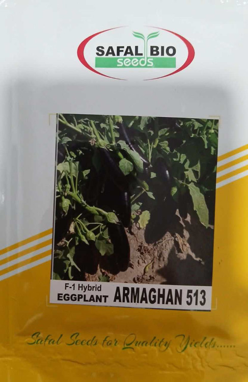 خریدآنلاین بذر بادمجان هیبرید ارمغان