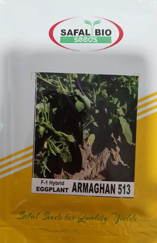 خریدآنلاین بذر بادمجان هیبرید ارمغان