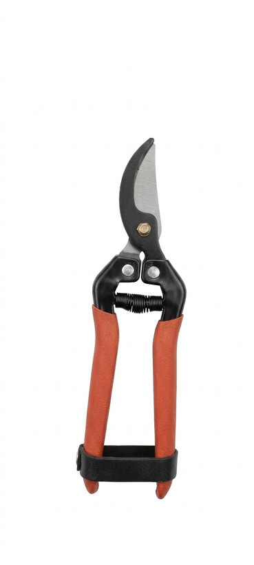 قیچی ASA